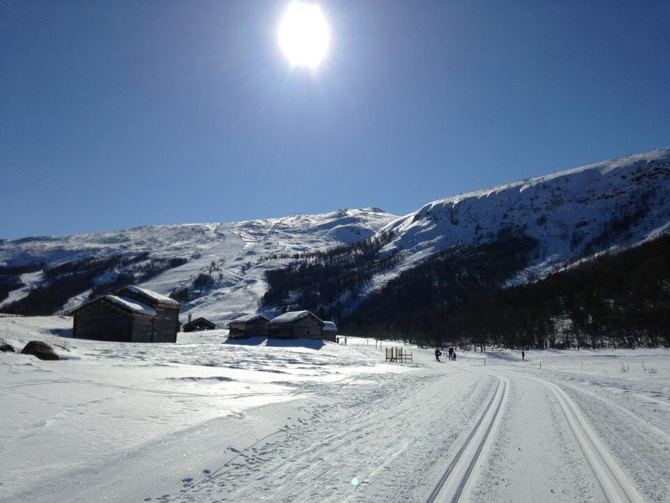 Villa Lemonsjøen-Jotunheimen-Besseggen Stuttgongfossen Exterior foto